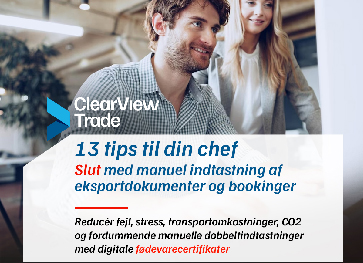 13-tips-til-chefen