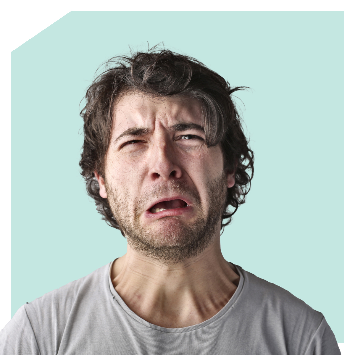 Ondt i eksportprocessen