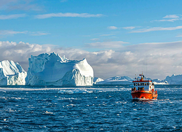 Grønlandsafgiftsanmeldelse